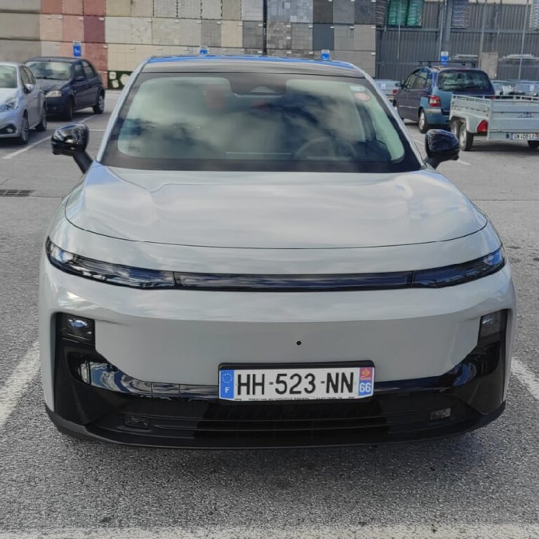 Mietwagen mit Fahrer: Leapmotor