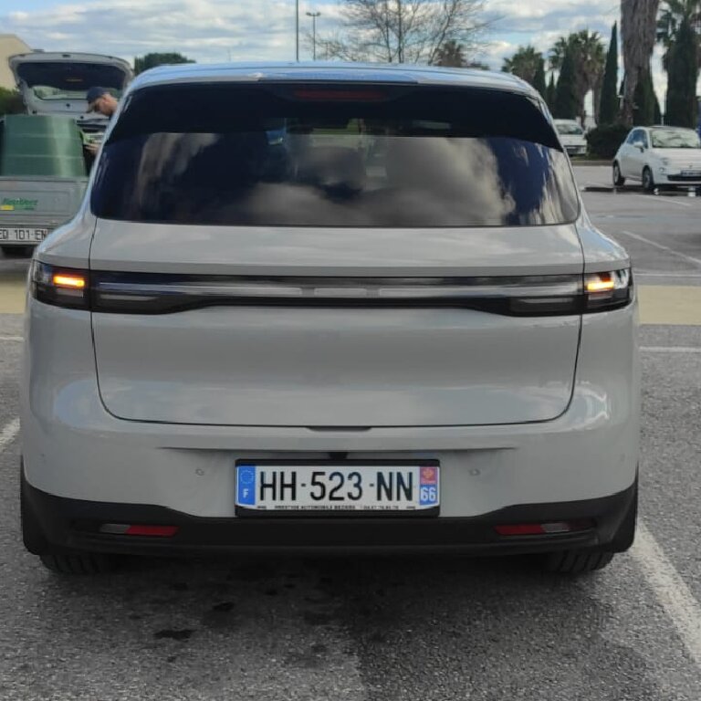 Mietwagen mit Fahrer: Leapmotor