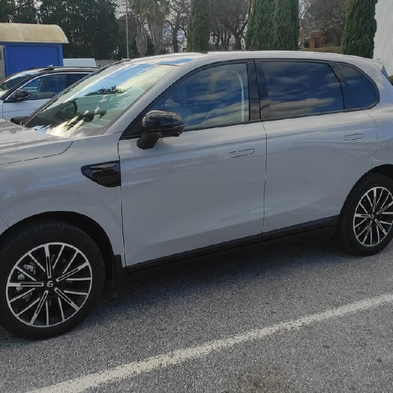 Mietwagen mit Fahrer: Leapmotor