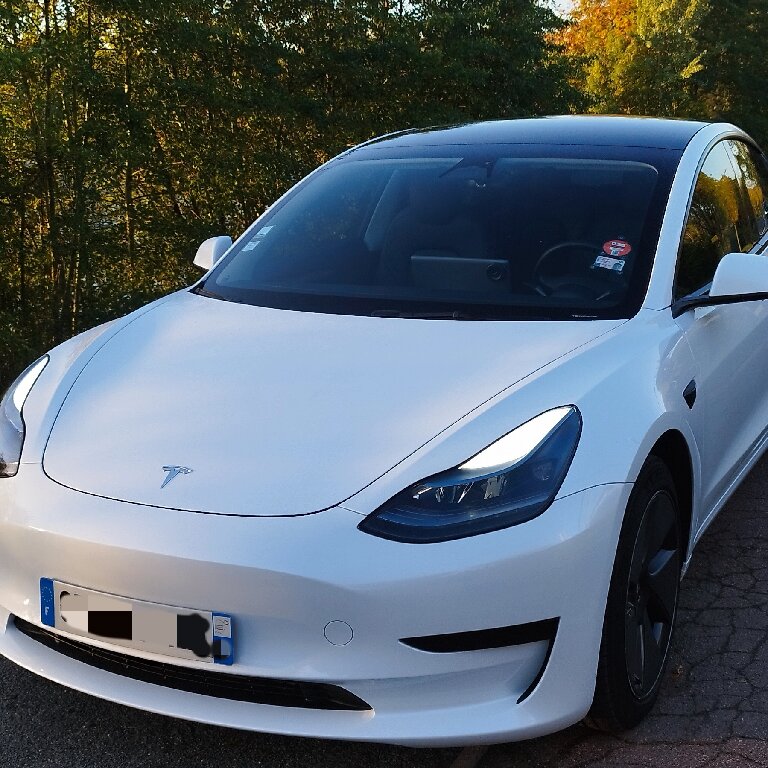 Mietwagen mit Fahrer: Tesla