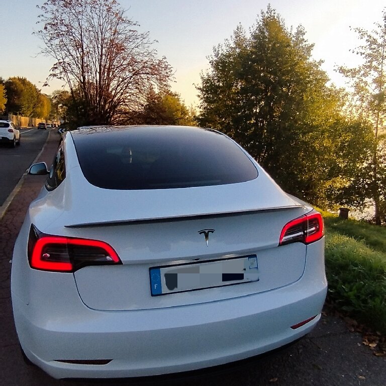 Mietwagen mit Fahrer: Tesla