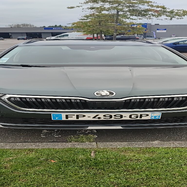 Mietwagen mit Fahrer: Skoda