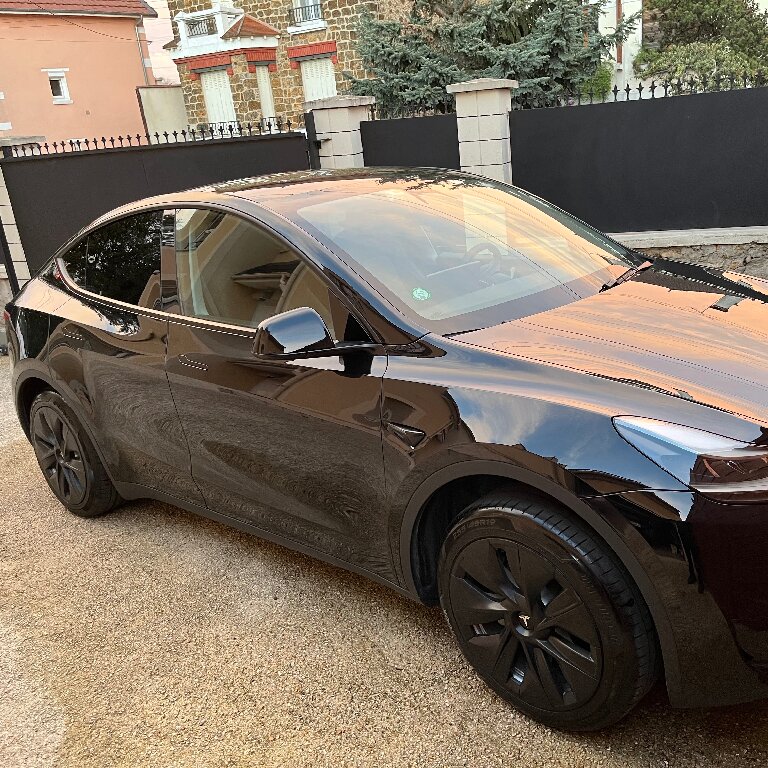 Mietwagen mit Fahrer: Tesla