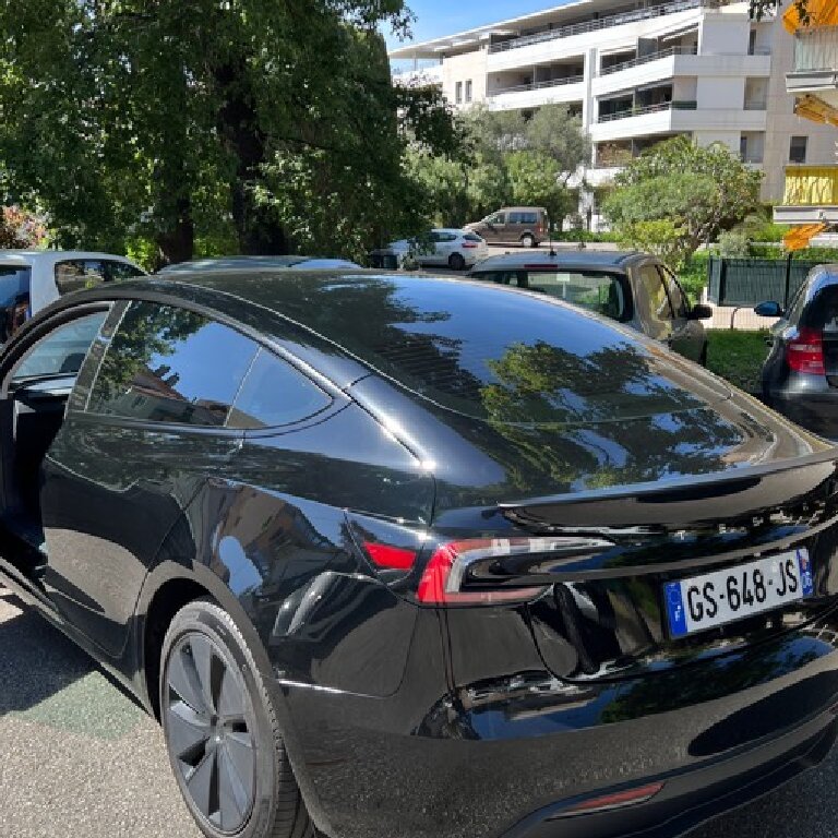 Personenvervoer: Tesla