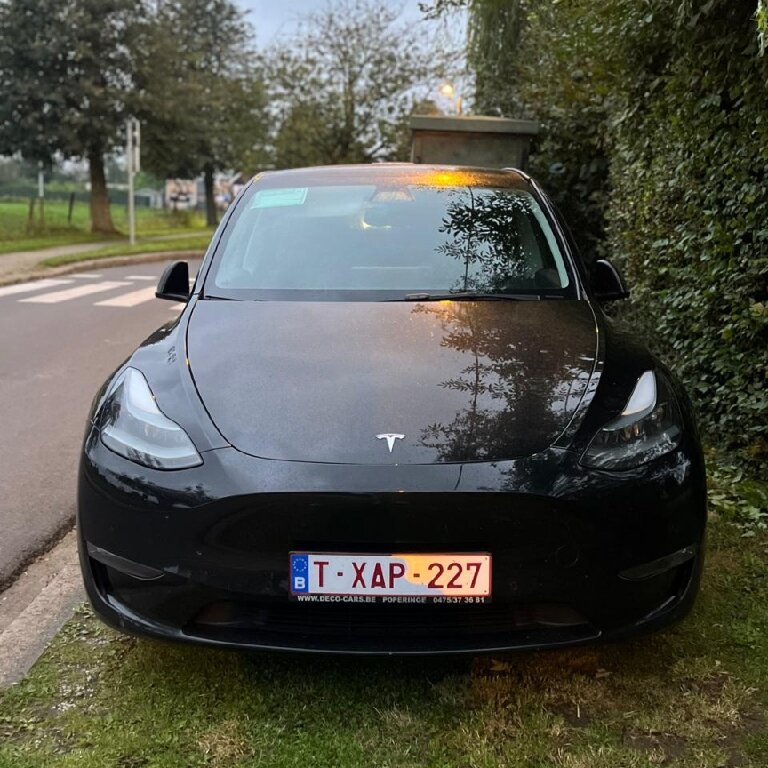 Taxi: Tesla