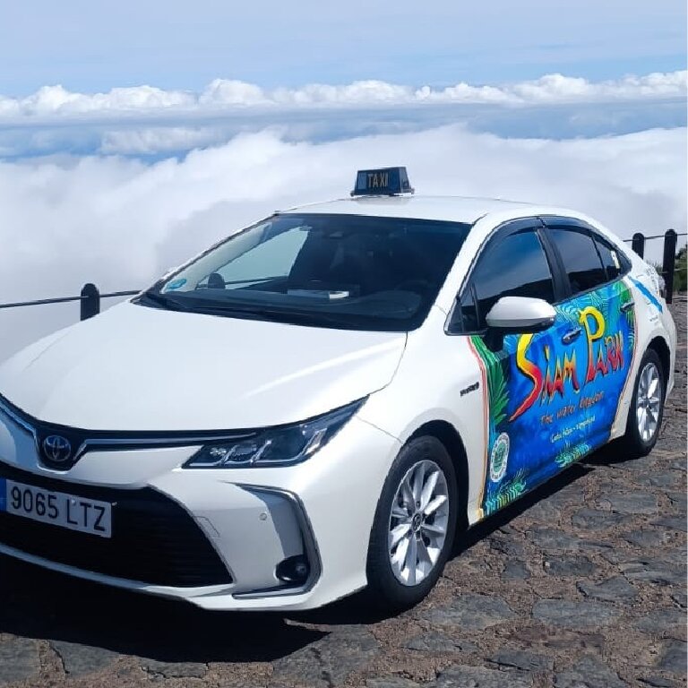 Taxi: Toyota