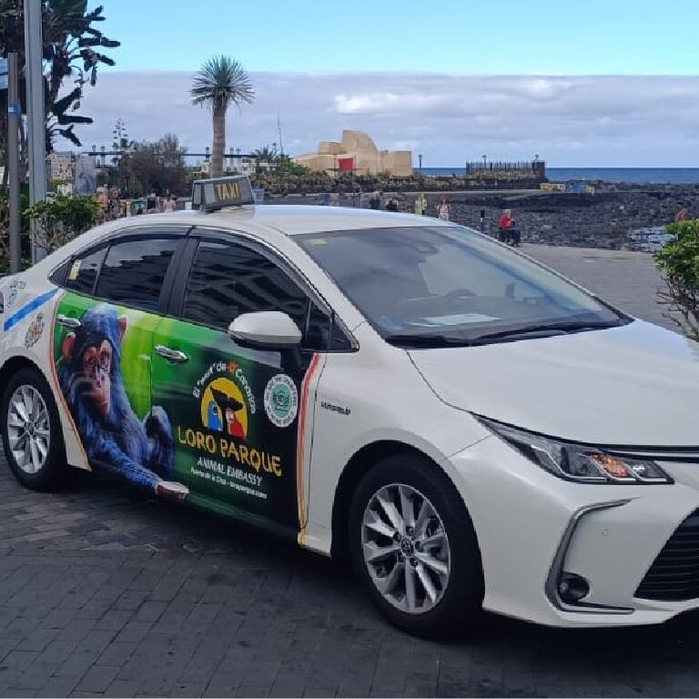 Taxi: Toyota