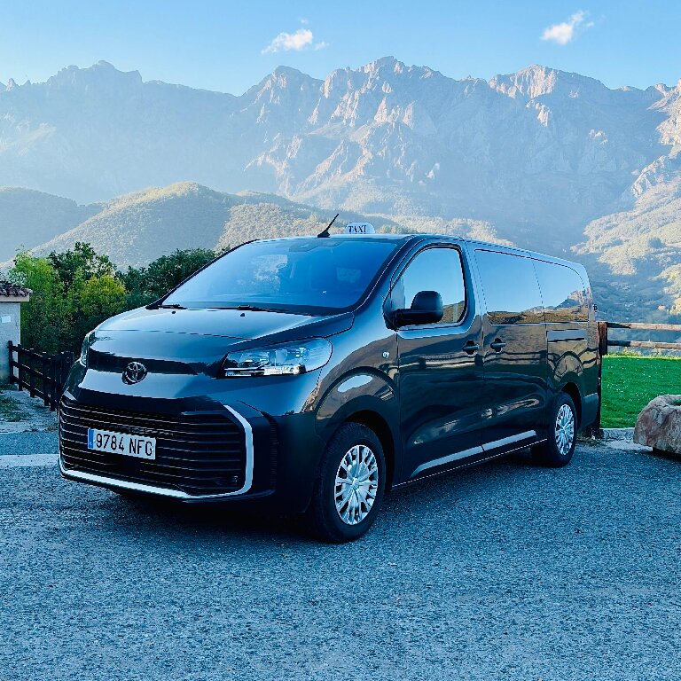 Taxi: Toyota