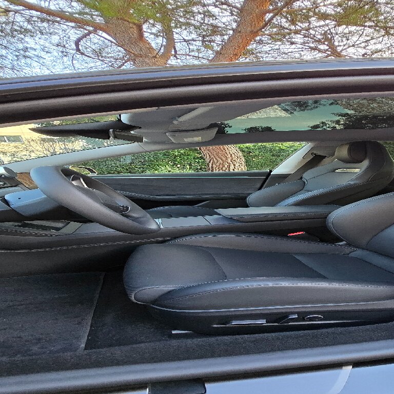 Personenvervoer: Tesla