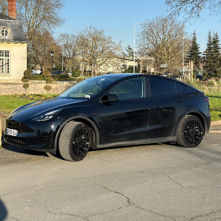 Mietwagen mit Fahrer: Tesla