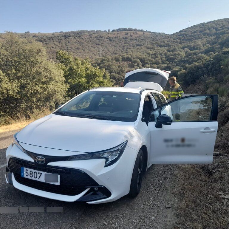 Taxi: Toyota