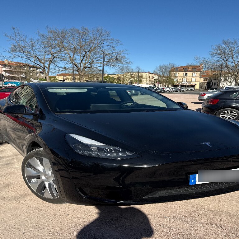 Mietwagen mit Fahrer: Tesla