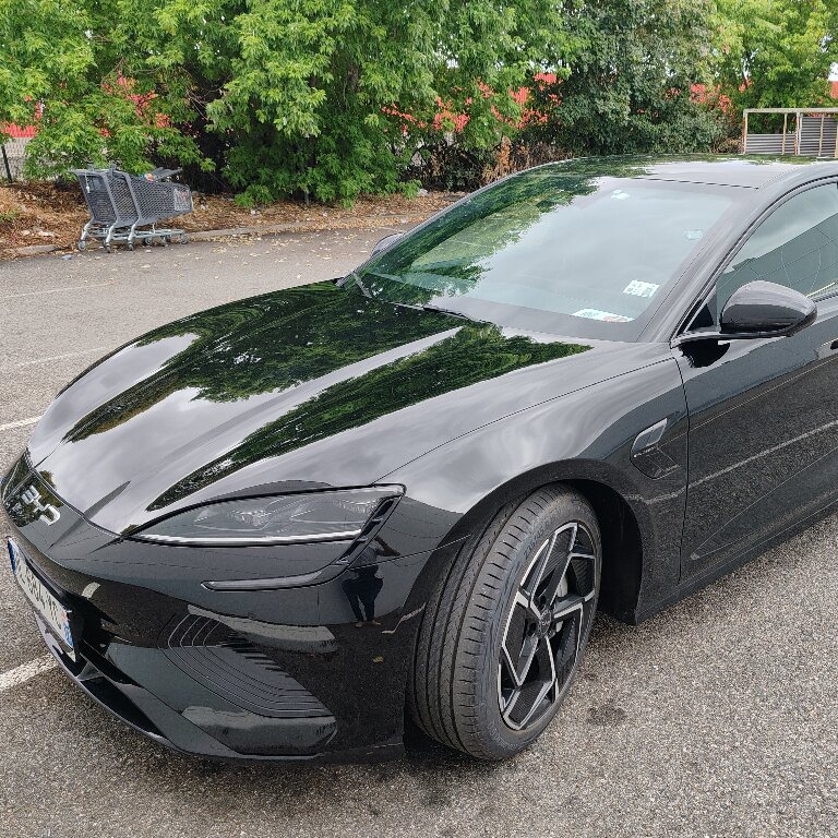 Personenvervoer: BYD