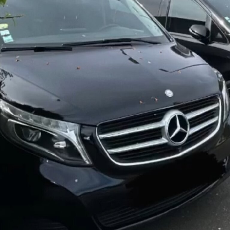 VTC: Mercedes