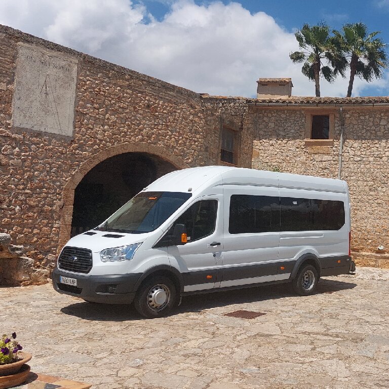 Mietwagen mit Fahrer: Ford