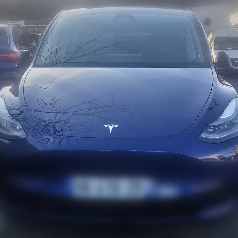 Mietwagen mit Fahrer: Tesla