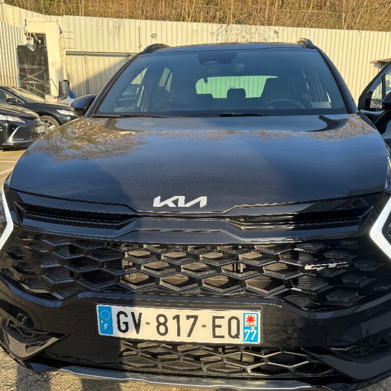 Mietwagen mit Fahrer: Kia