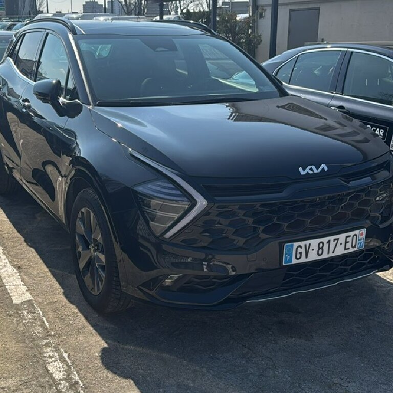 Mietwagen mit Fahrer: Kia
