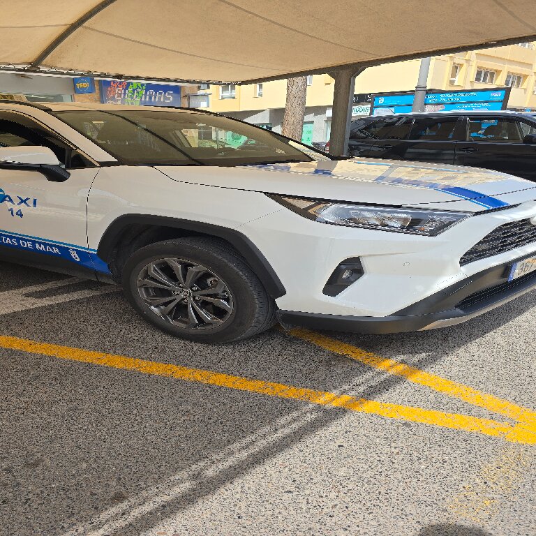 Taxi: Toyota