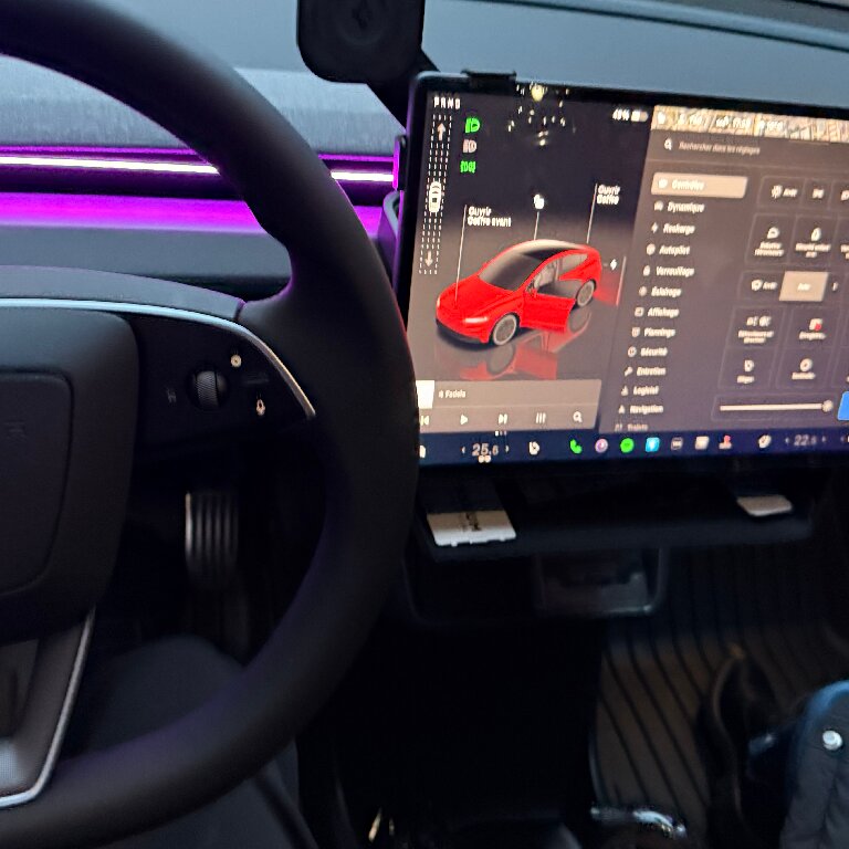 Mietwagen mit Fahrer: Tesla