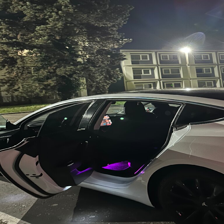 Mietwagen mit Fahrer: Tesla