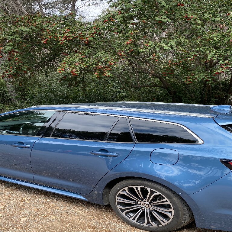 Mietwagen mit Fahrer: Toyota