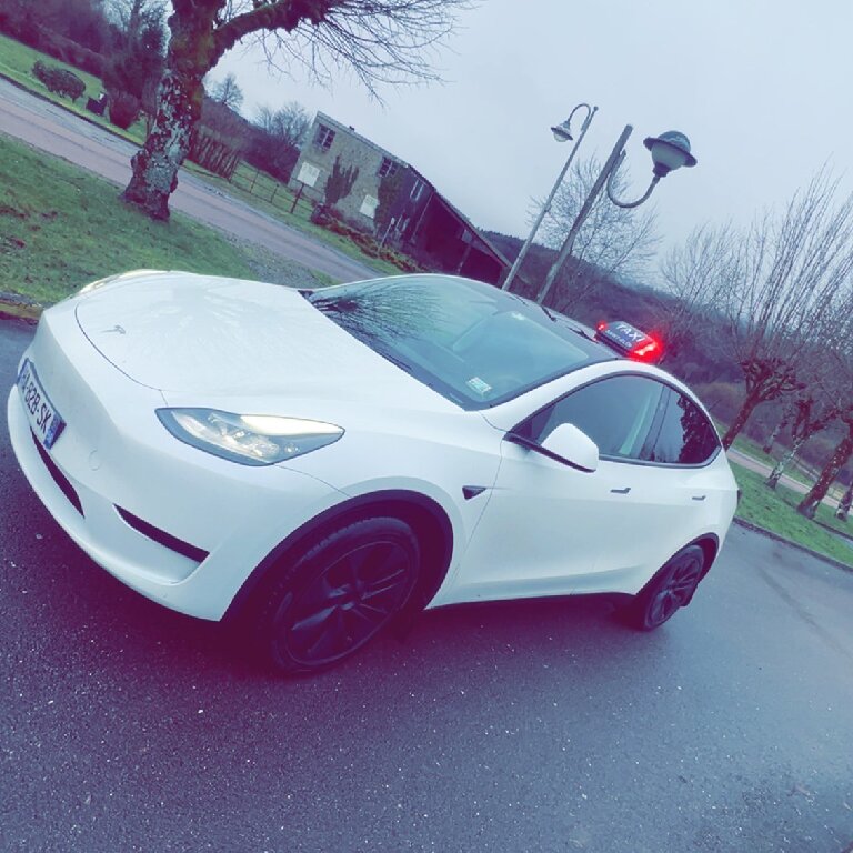 Taxi: Tesla