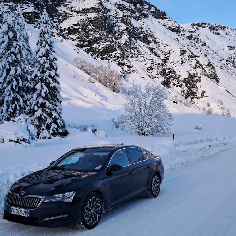 Mietwagen mit Fahrer: Skoda