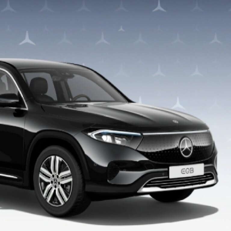 Mietwagen mit Fahrer: Mercedes
