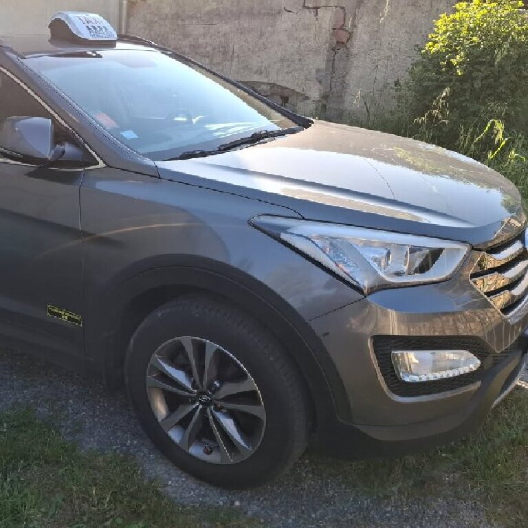 Taxi: Hyundai