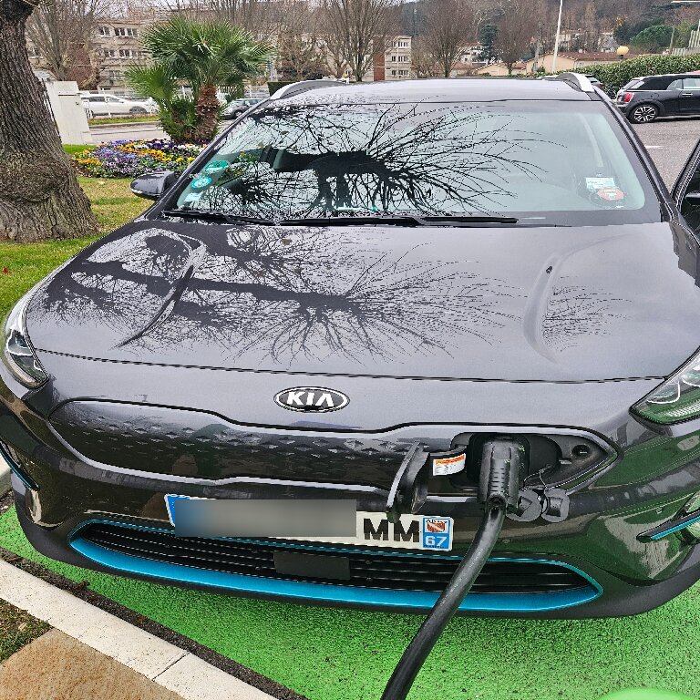 Personenvervoer: Kia