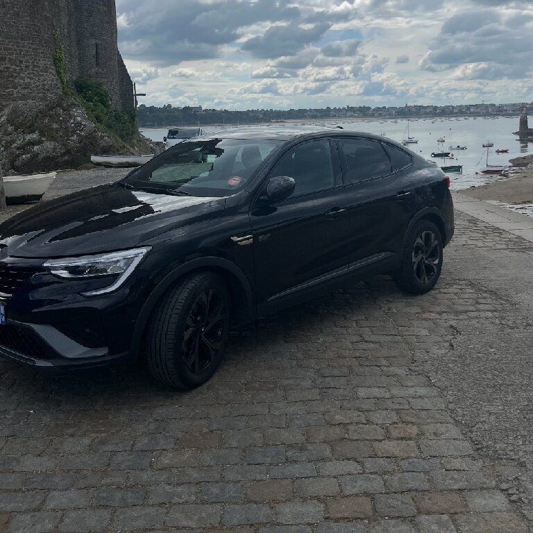 Mietwagen mit Fahrer: Renault