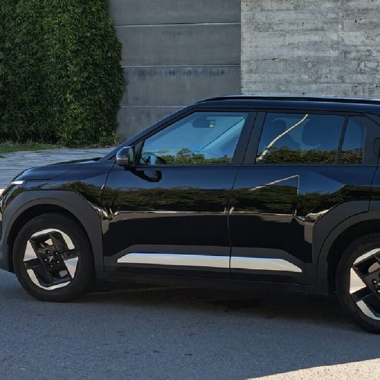 Mietwagen mit Fahrer: Kia