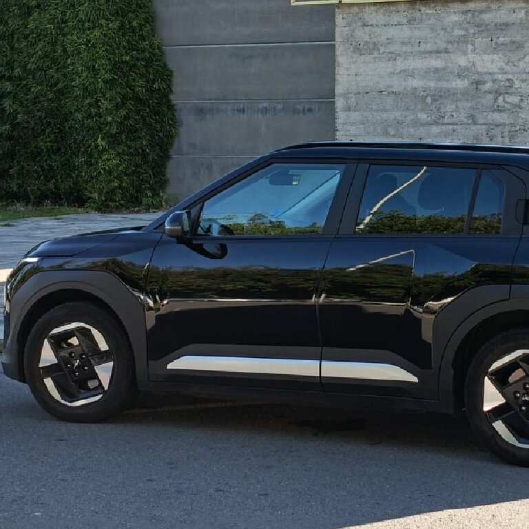 Mietwagen mit Fahrer: Kia