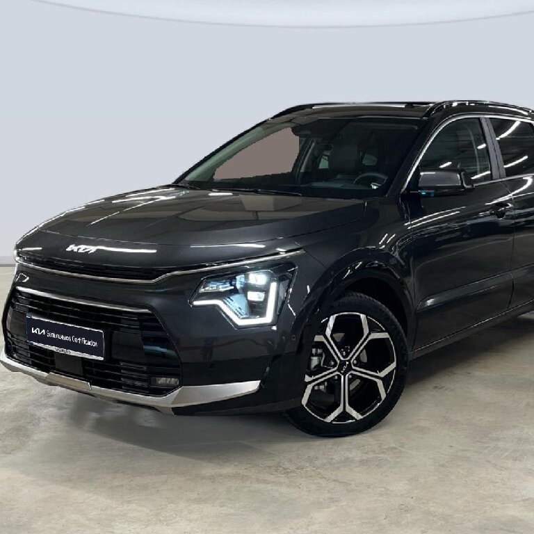 Mietwagen mit Fahrer: Kia