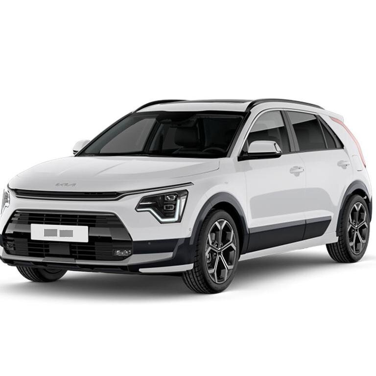 Mietwagen mit Fahrer: Kia