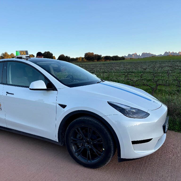 Taxi: Tesla