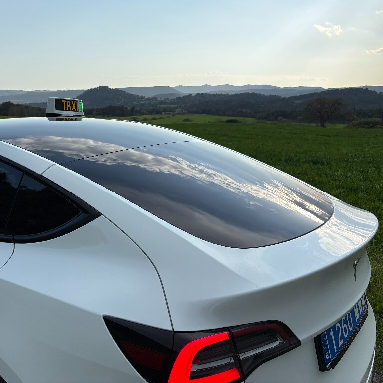 Taxi: Tesla