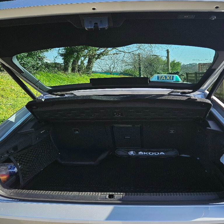 Taxi: Skoda