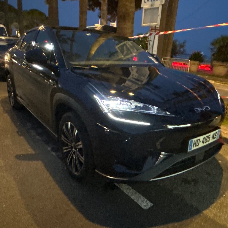 Mietwagen mit Fahrer: BYD