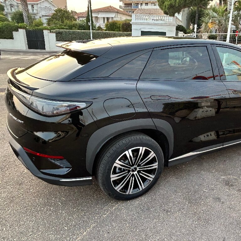 Mietwagen mit Fahrer: BYD