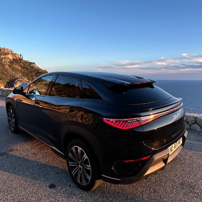 Mietwagen mit Fahrer: BYD