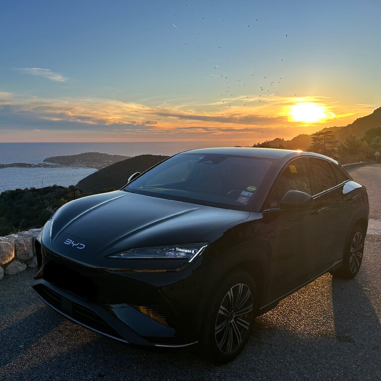 Mietwagen mit Fahrer: BYD