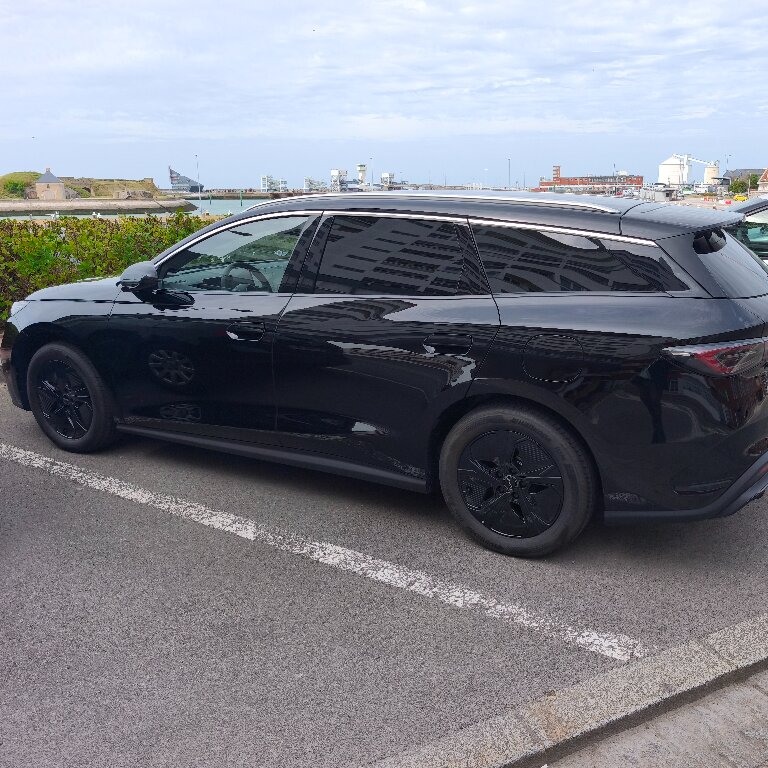 Mietwagen mit Fahrer: BYD