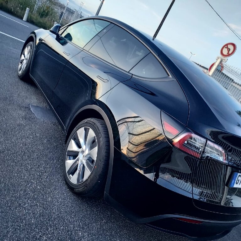 Personenvervoer: Tesla