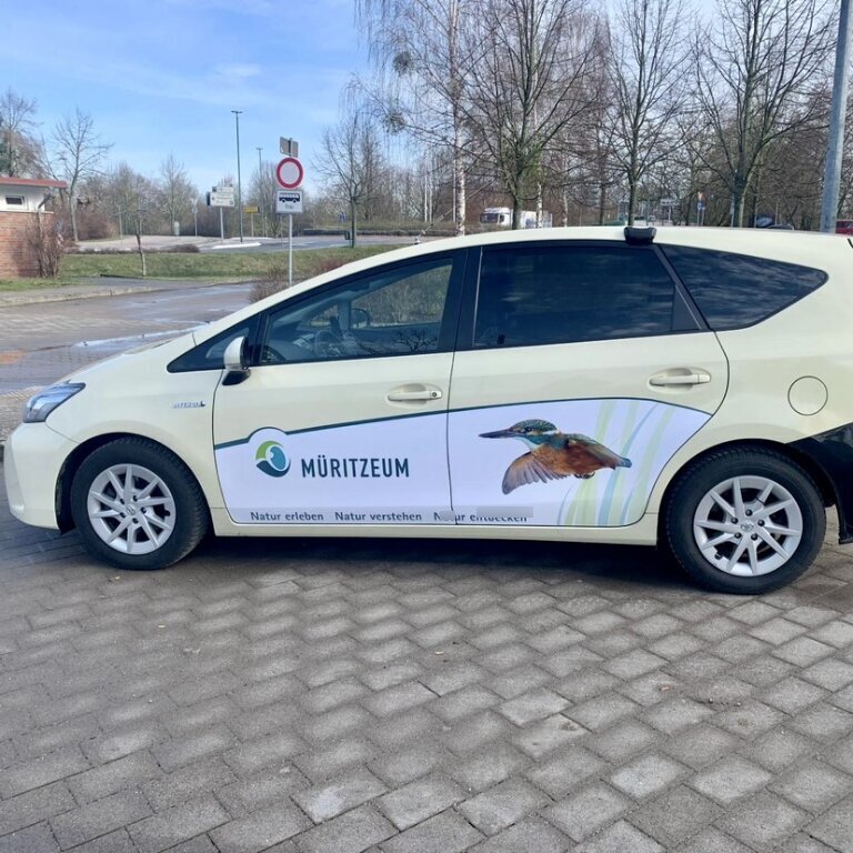 VTC: Toyota