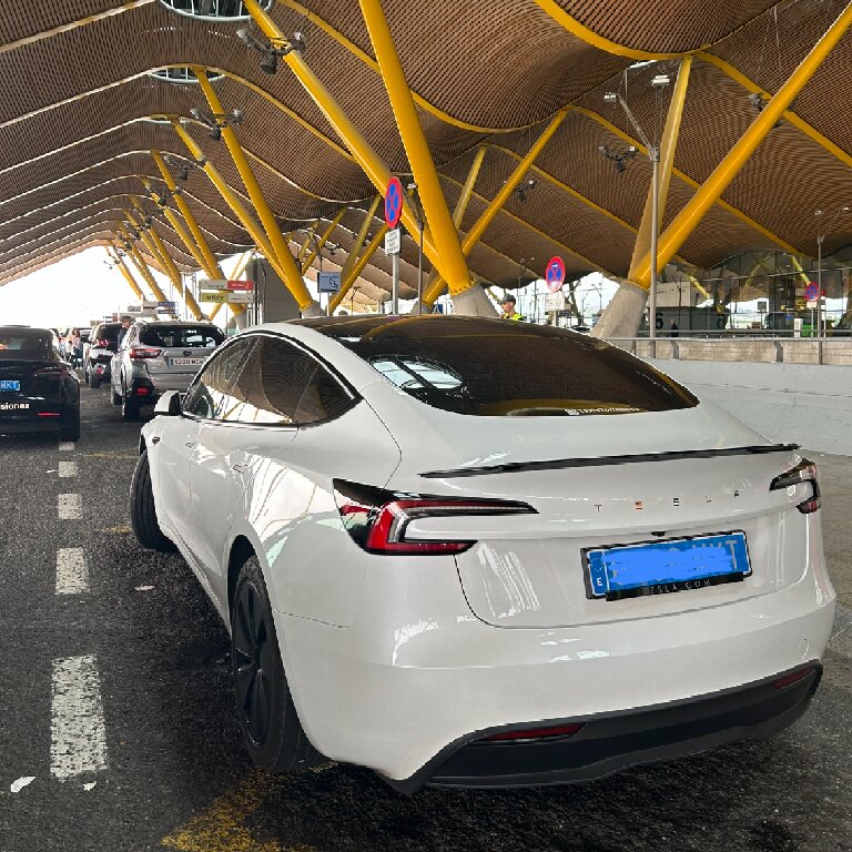 Mietwagen mit Fahrer: Tesla