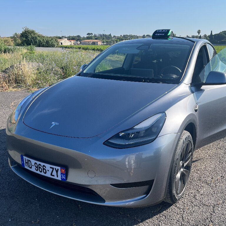 Taxi: Tesla