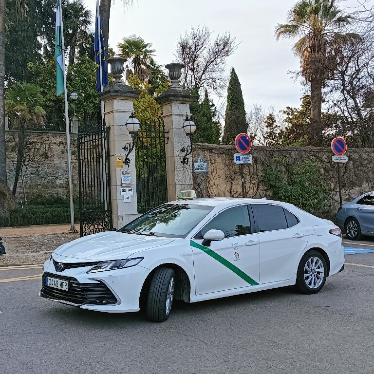 Taxi: Toyota
