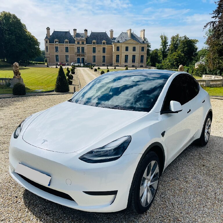 Personenvervoer: Tesla